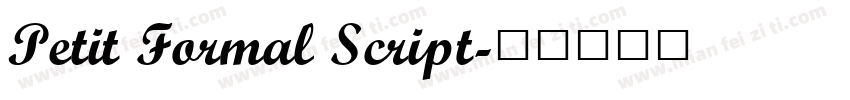 Petit Formal Script字体转换
